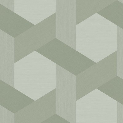 GeometricGEO589Cat