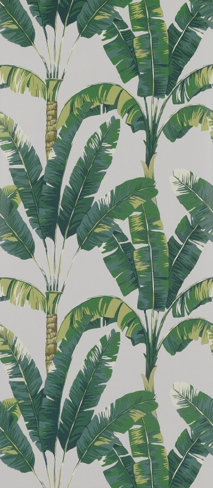 FOL231