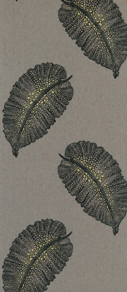 FOL240