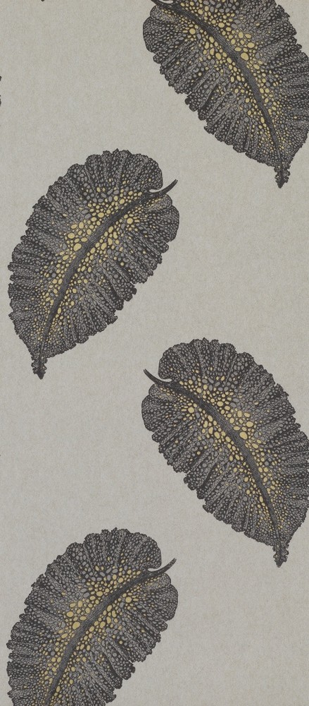 FOL241