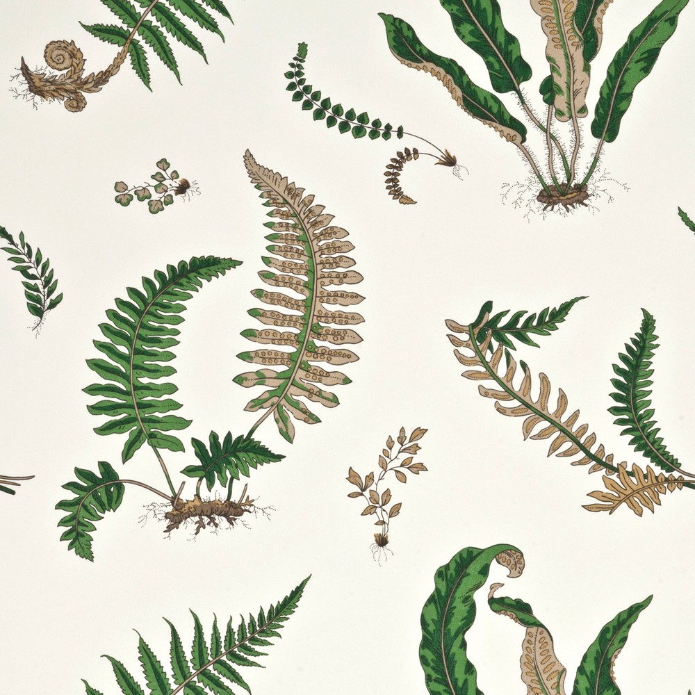 FOL276
