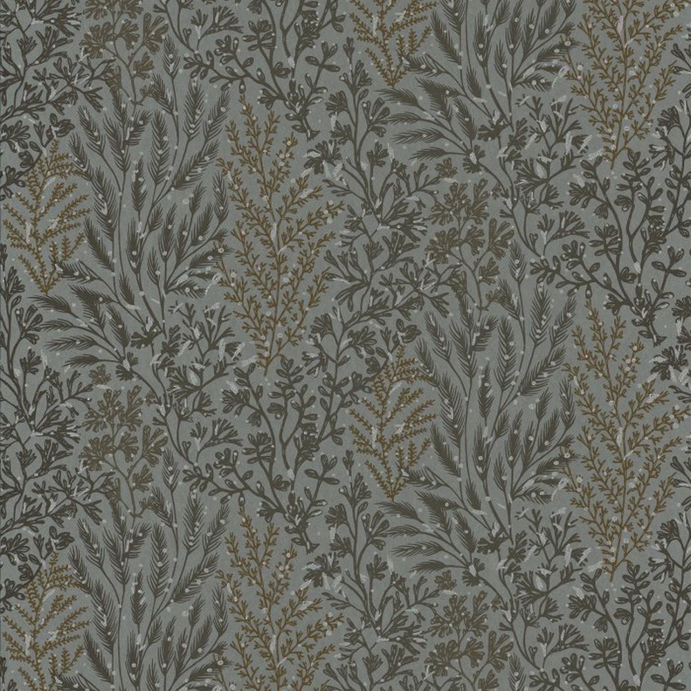 FOL523