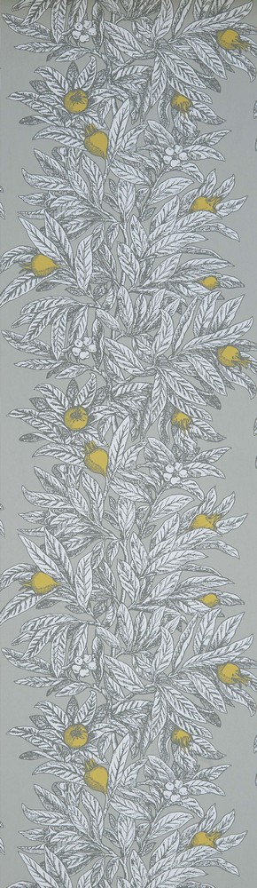 FOL533