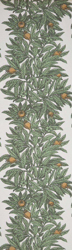 FOL535