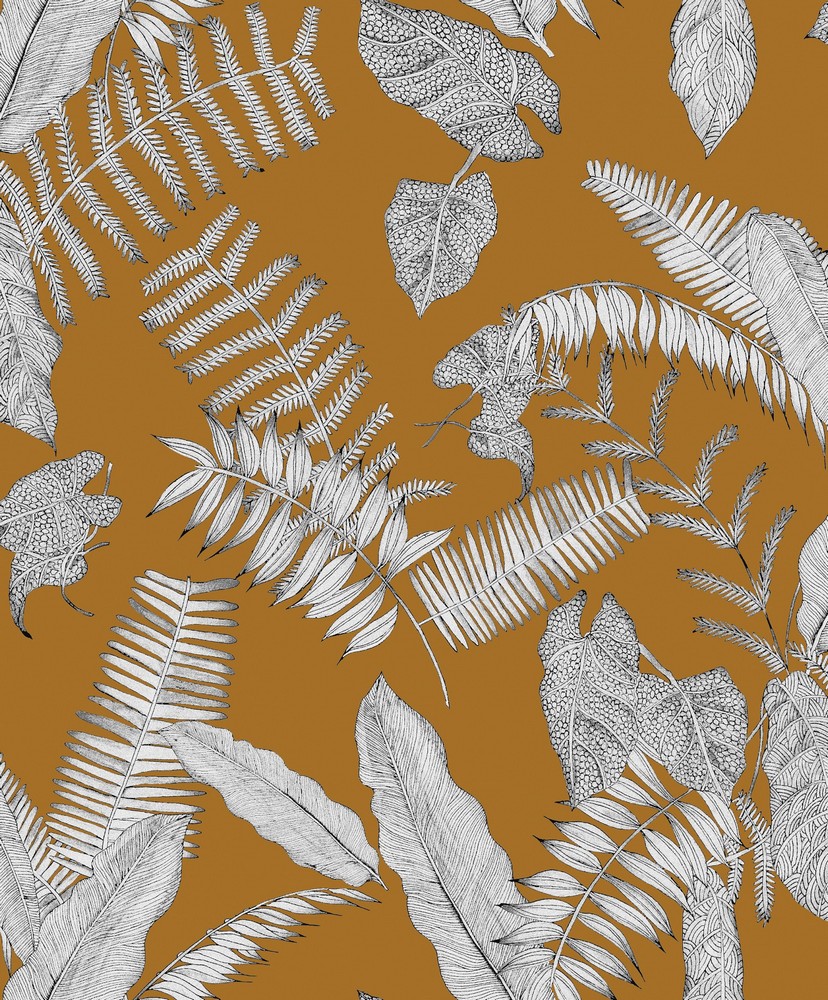 FOL554