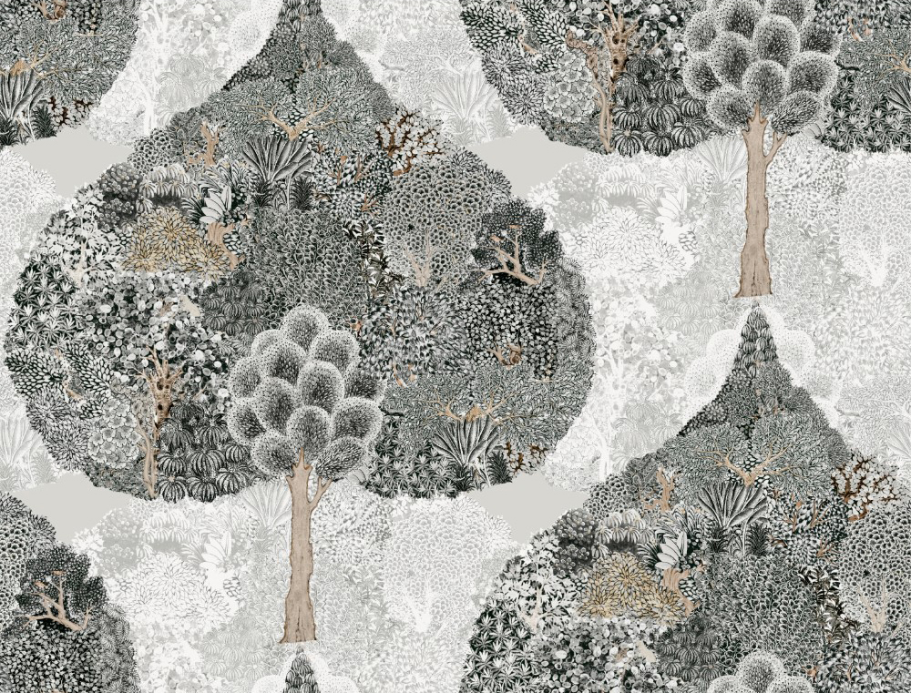 FOL629