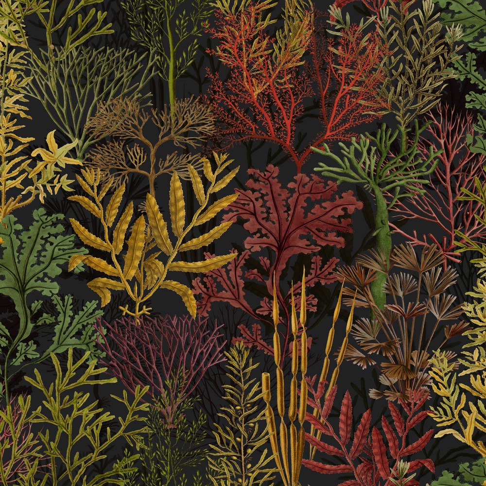 FOL756