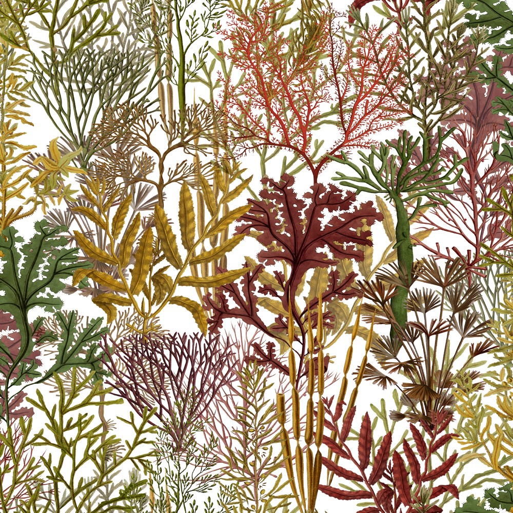 FOL757