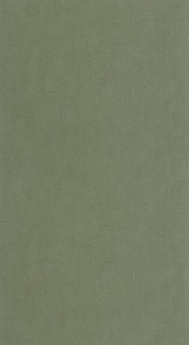 FOL871