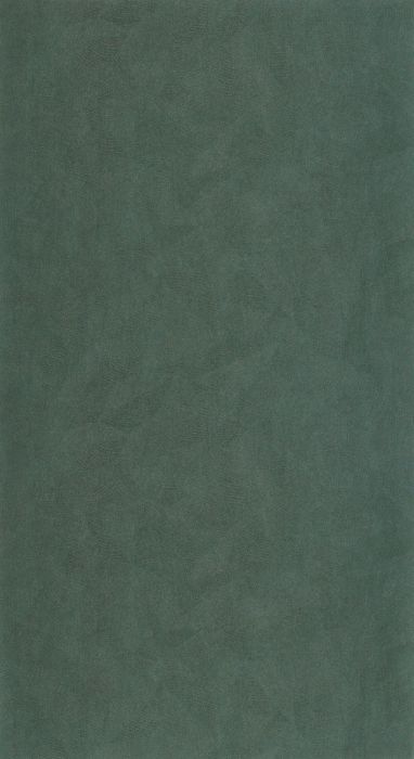 FOL873