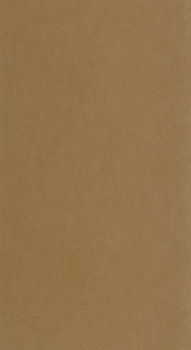 FOL874