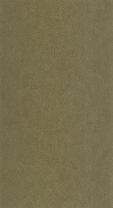 FOL876