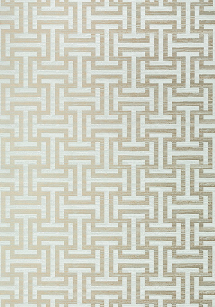 GEO153