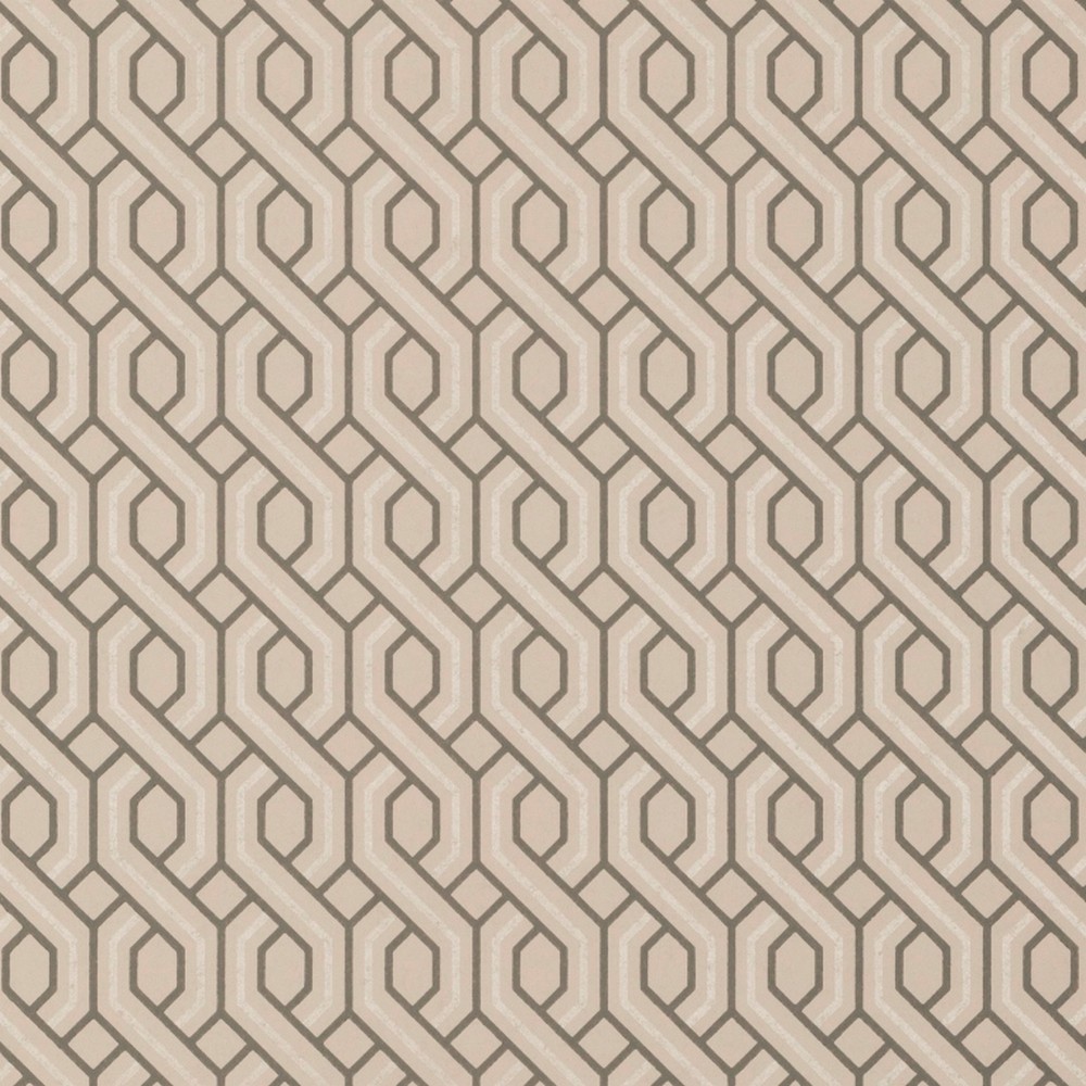 GEO254