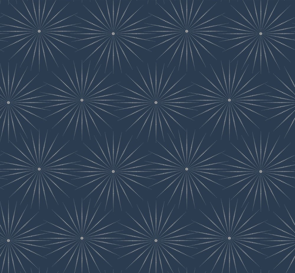 GEO493