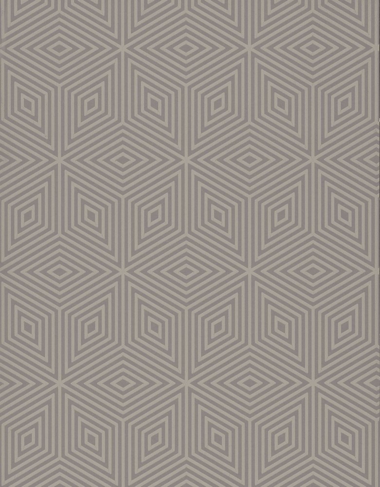 GEO519
