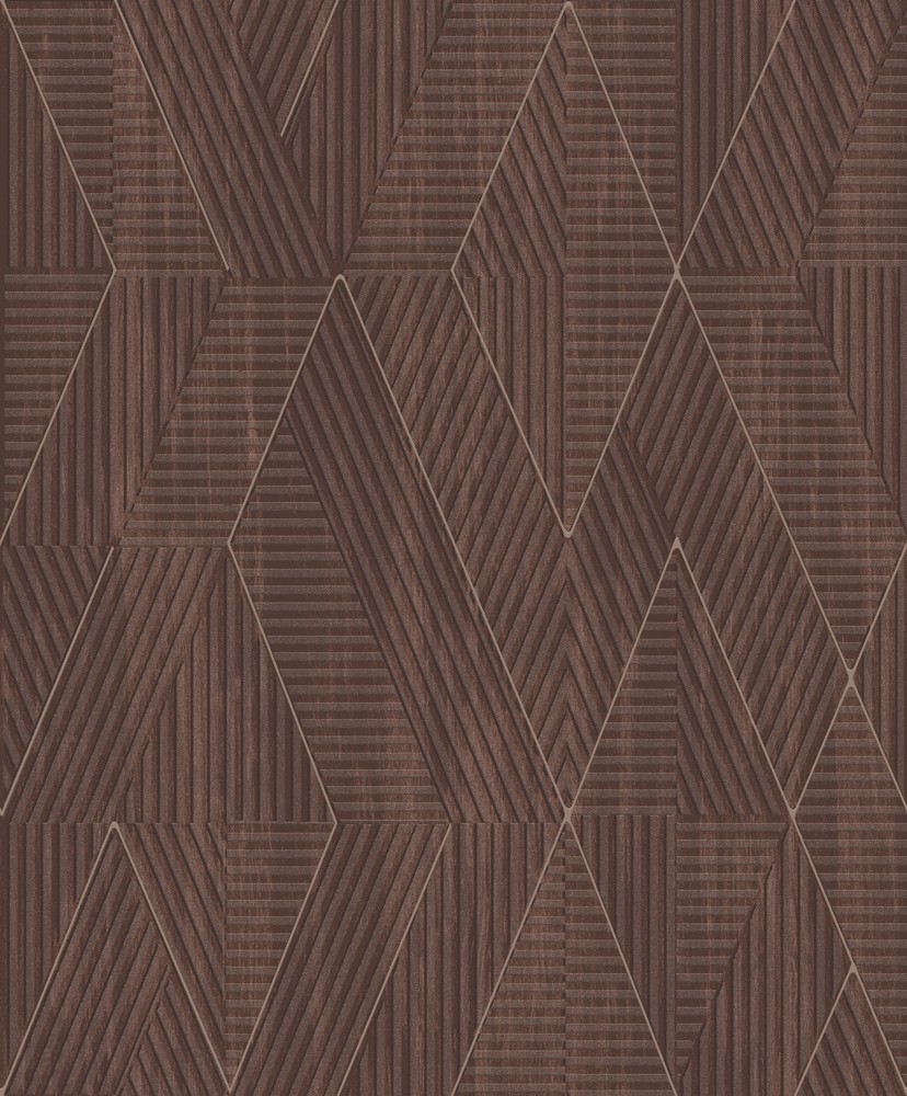 GEO521