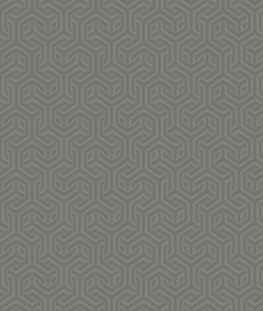 GEO558