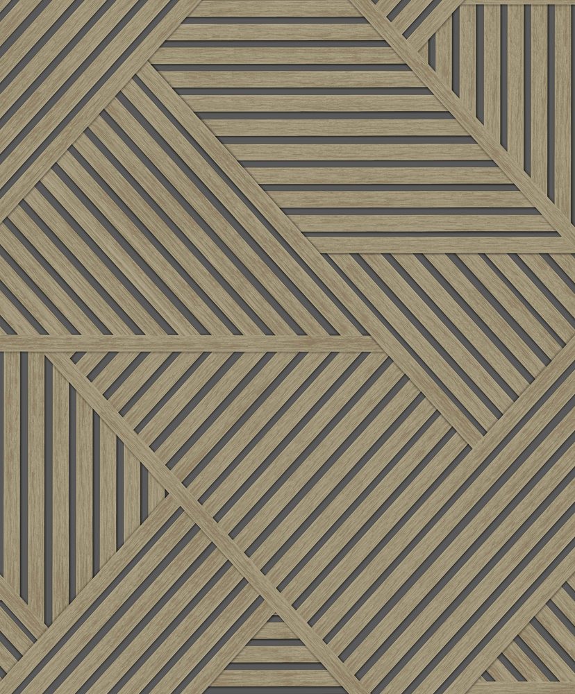 GEO569
