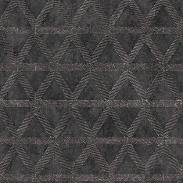 GEO675