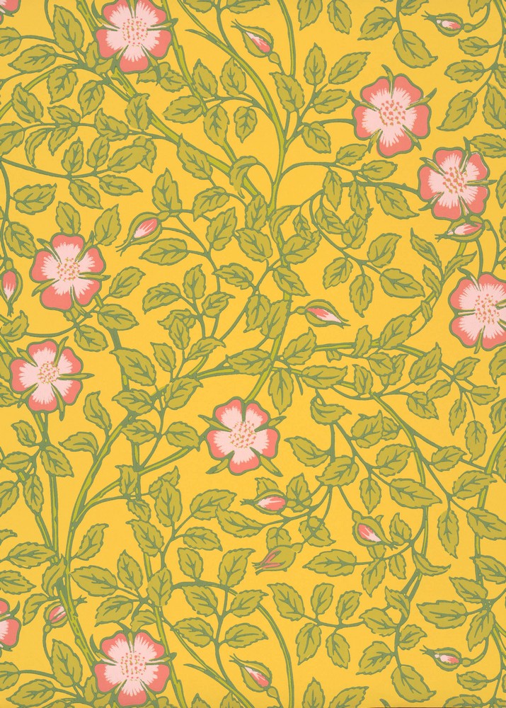 NT217