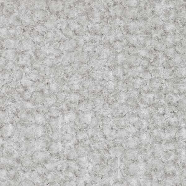 PLT006